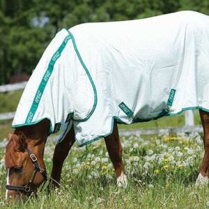 Amigo_Aussie_Allrounder_Cotton_Rug
