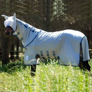 Amigo_Bug_Buster_Vamoose_Rug