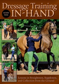 Dressage_Training_In_Hand