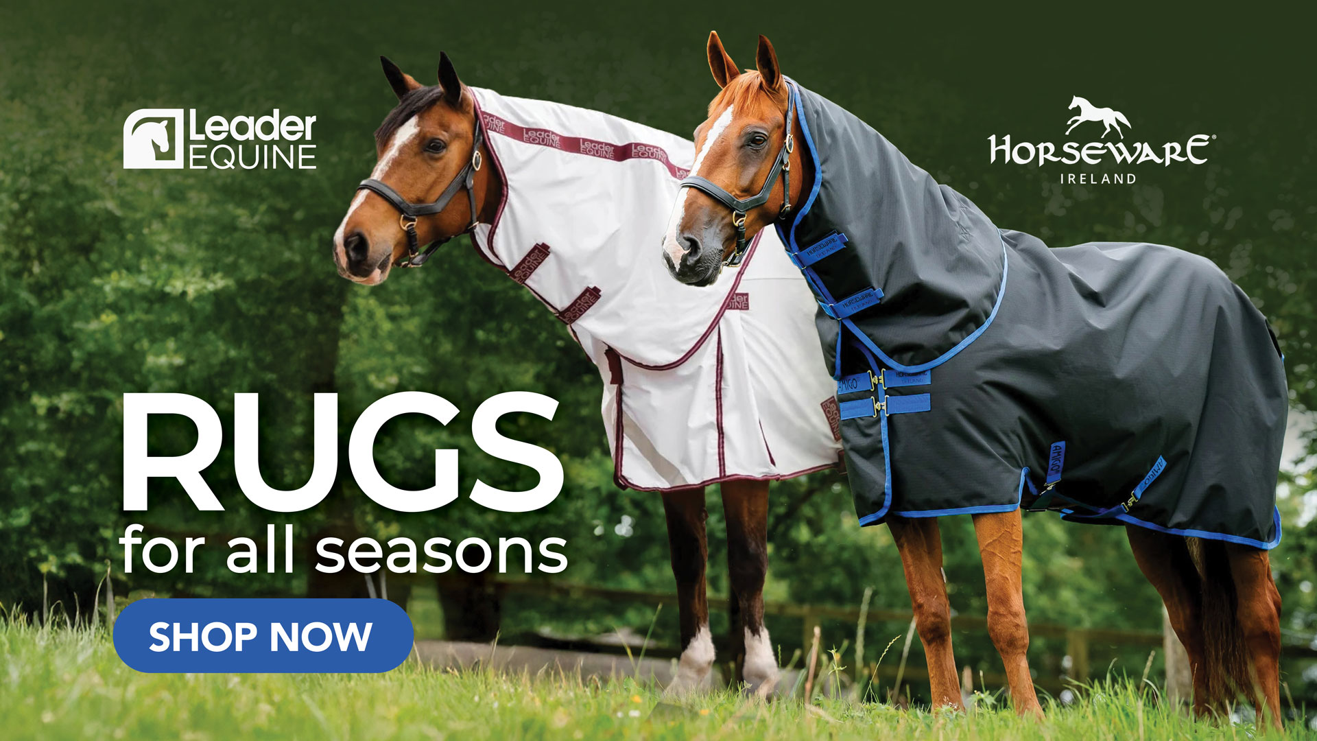 Horse Rugs for all Seasons - Shop Now