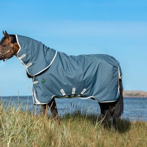 AmEco-Bravo12-Plus-Rug
