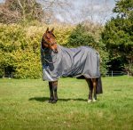 Amigo Bravo 12 Plus Lite Rug