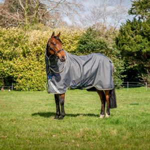 Amigo Bravo 12 Plus Lite Rug