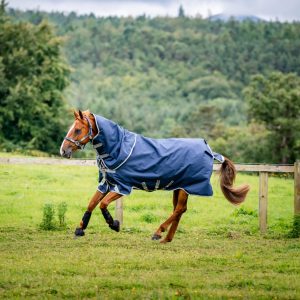 Amigo 1200D Plus 100g Rug