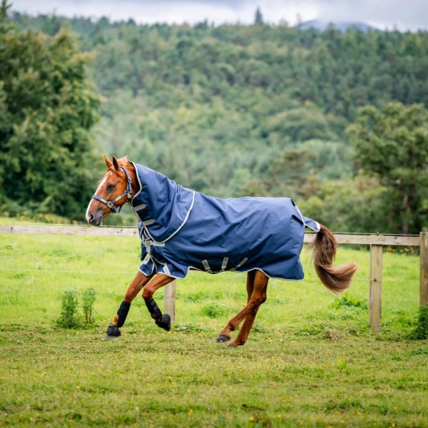 Amigo 1200D Plus 100g Rug