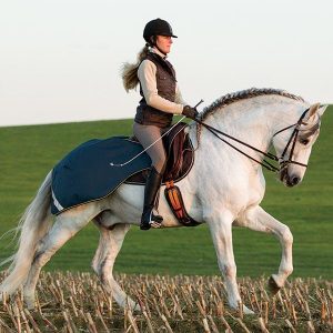 Amigo-3in1-Competition-Sheet