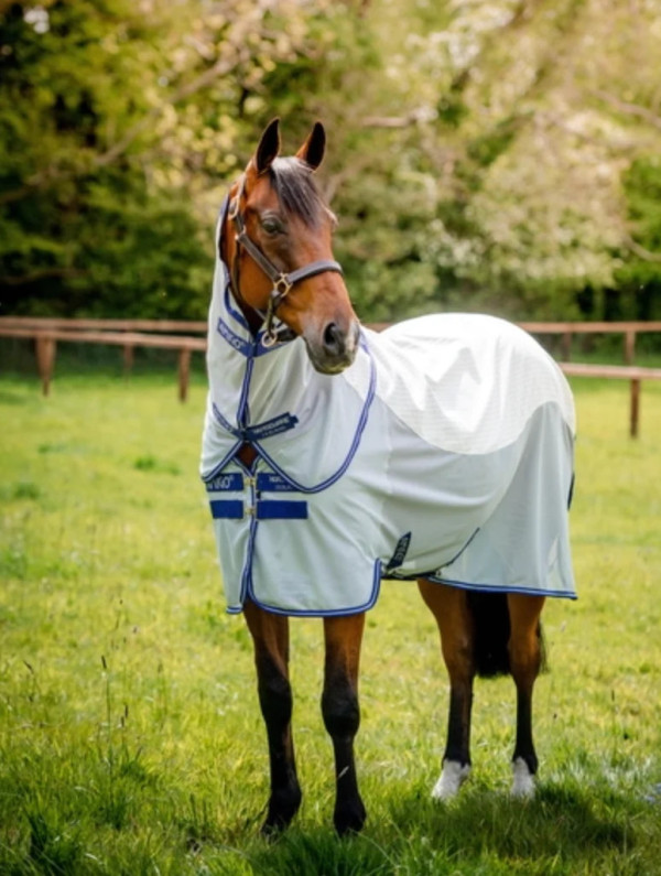 Amigo Airflow Rug