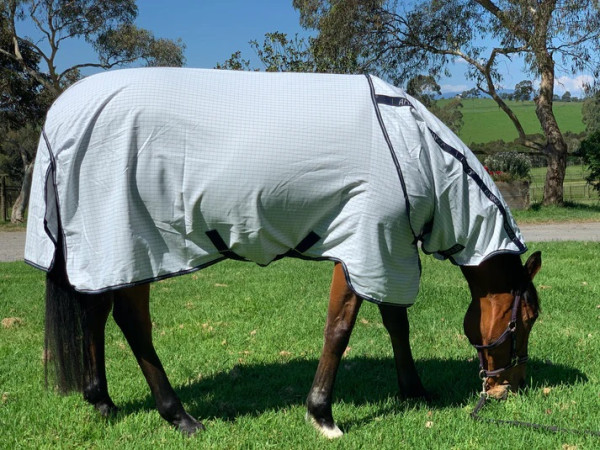 Amigo Allrounder Helix  CLASSIC Cotton Rug