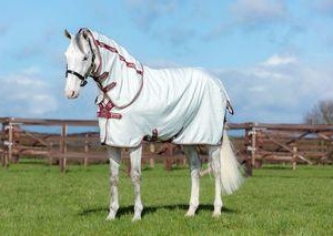 Amigo-Aussie-Allrounder-Disc-Cotton-Rug
