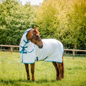 Amigo-Aussie-Allrounder-Disc-Cotton-Rug2