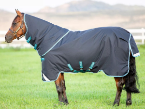 Amigo Bravo 12 Plus Rug 250gm