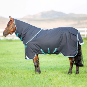 Amigo Bravo 12 Plus Rug 250gm