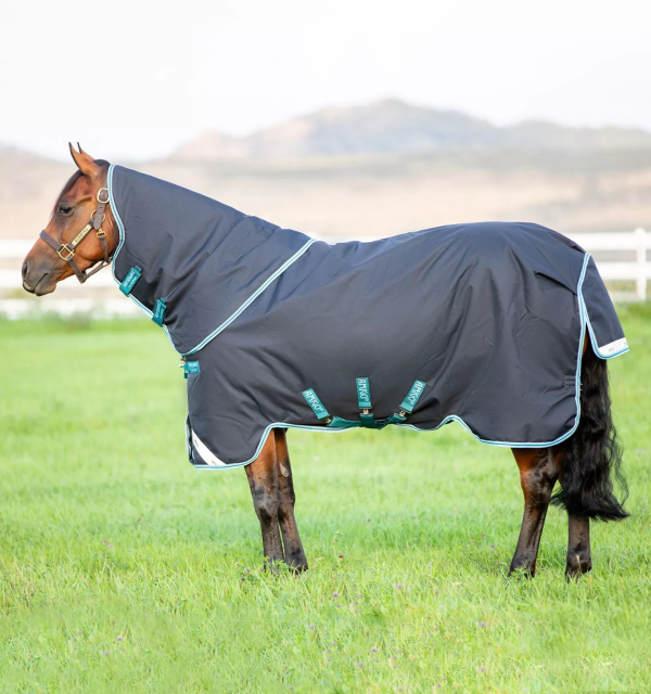 Amigo Bravo 12 Plus Rug 250gm