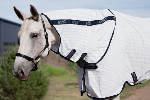 Amigo Helix  Allrounder DISC Cotton Rug