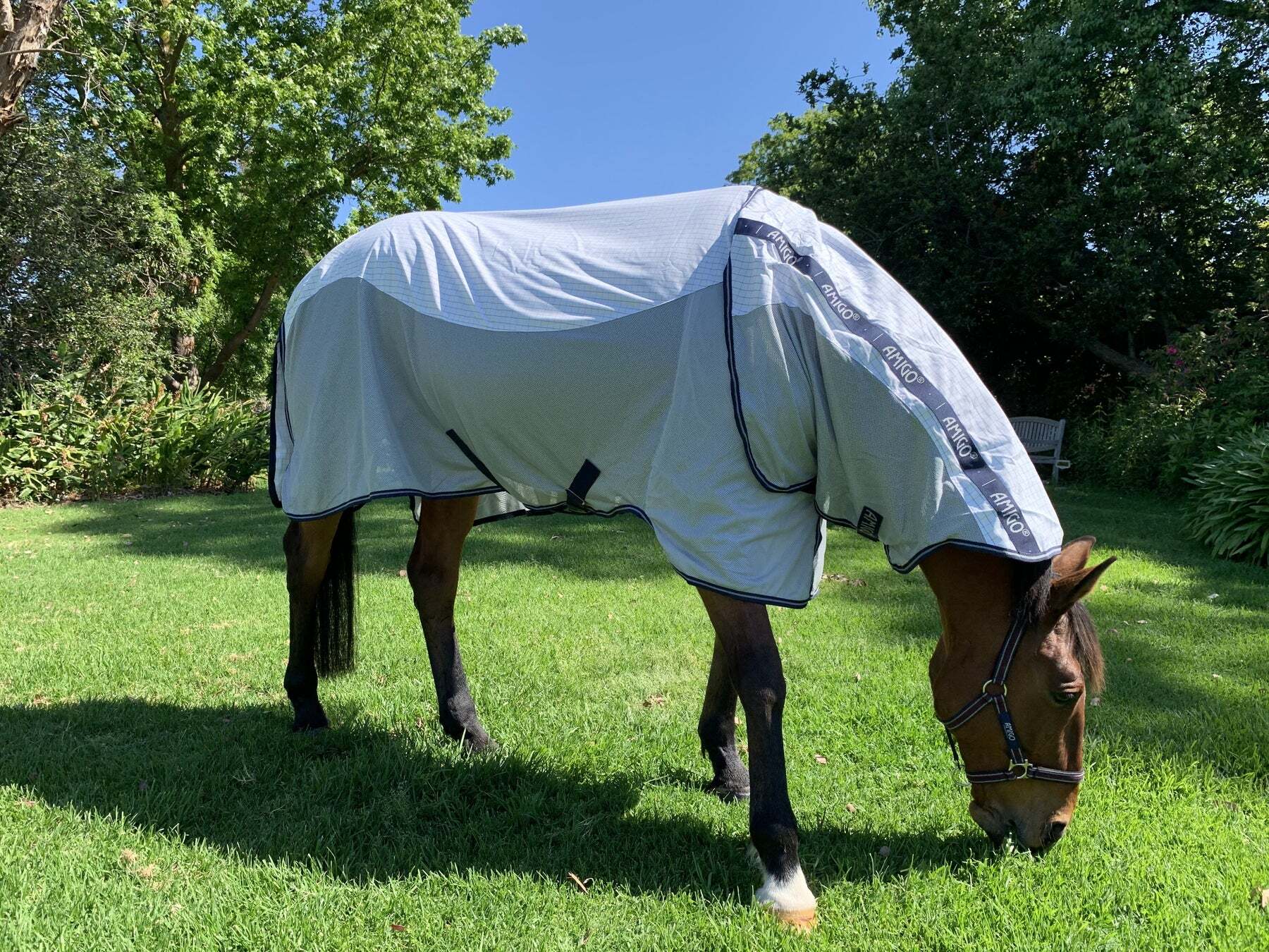 Amigo Helix Classic Airflow Rug The Dancing Horse