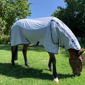 Amigo Helix Classic Airflow Rug