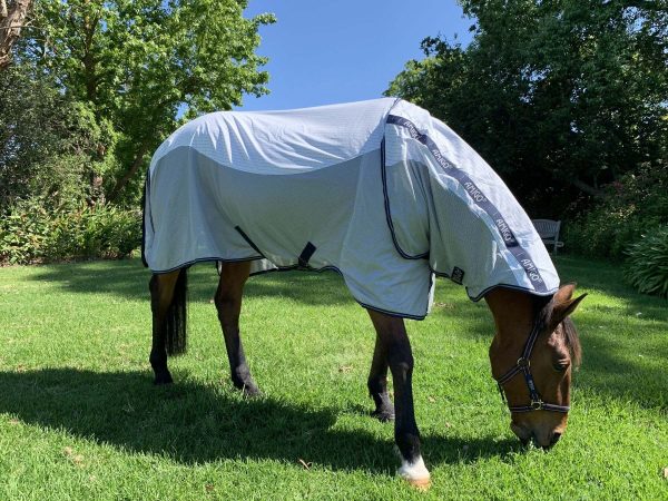 Amigo Helix Classic Airflow Rug