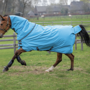 Amigo-Hero-900-Plus-Rug-Medium