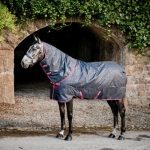 Amigo Hero Plus Lite Rug