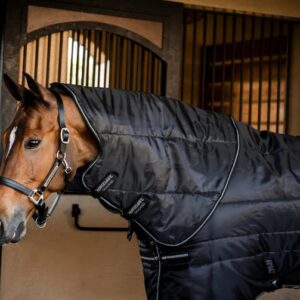 Amigo Insulator Plus Stable Rug