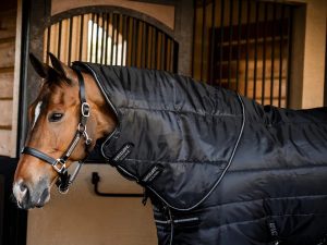 Amigo Insulator Plus Rug