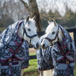 Amigo-Pony-Plus-Medium-Rug
