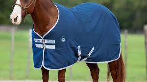 Amigo Stable Sheet