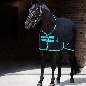 Amigo-Summer-Sheet-Rug