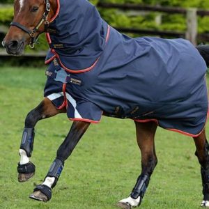 Amigo_Bravo12_Plus_Lite-Disc_Front_Rug