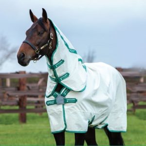 Amigo_Bravo_Allrounder_Disc_Cotton_Rug