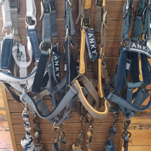 Anky Halter & Lead Set