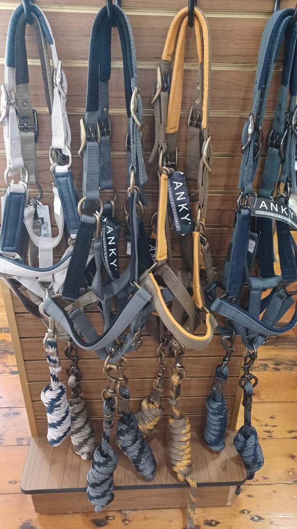 Anky Halter & Lead Set