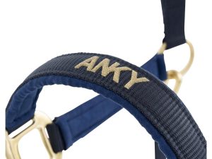 Anky New Halter & Lead Set