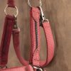 Anky New Halter & Lead Set - Image 5