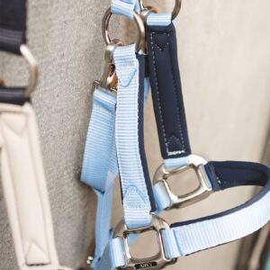 Anky AW26 Halter Lead Set