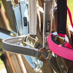 Anky New Halter & Lead Set