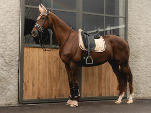 Anky New Suede Saddle Pads