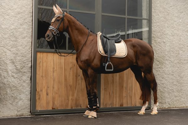 Anky New Suede Saddle Pads