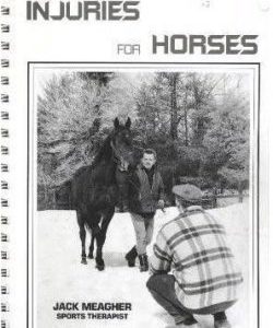 Beating-Muscle-Injuries-for-Horses
