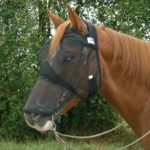 Cashel Quiet Ride Mask Longnose