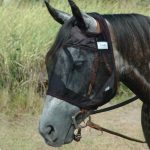 Cashel Quiet Ride Mask Standard