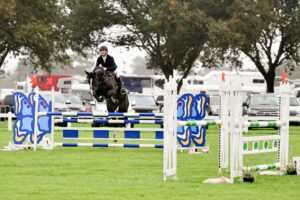 Dressage and Jumping with the Stars - Jumping