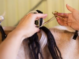 Hairy Pony Fastening Scissors