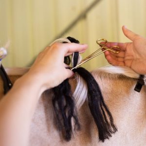 Hairy Pony Fastening Scissors