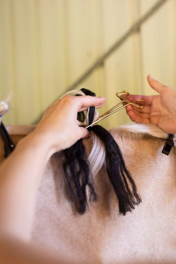 Hairy Pony Fastening Scissors