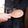 Hairy Pony Mane Tail Brush - Image 2