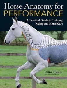 Horse-Anatomy-for Performance