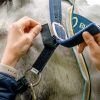 Horseware Field Safe Halter - Image 2