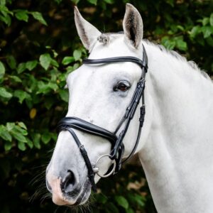 Horseware Flash Snaffle Bridle