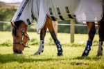 Horseware Fly Boots